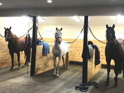 dressage horse training boarding orange county ny
